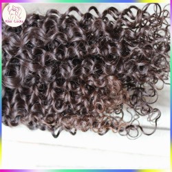 Latest New Hair Type Best Quality Burmese Curly Weave Raw Virgin Unprocessed Natural curls 1 piece deal