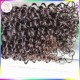 Latest New Hair Type Best Quality 10A Burmese Curly Weave Raw Virgin Unprocessed Natural curls 1 piece deal