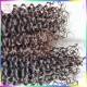 Sexy Lady Unprocessed Bouncy Curly 10a Raw virgin Burmese Temple Hair No Tangle No Shedding Human Hairs Wefts 3pcs/lot