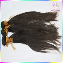 Absolute Real Mink Straight Weave 1 bundle deal Virgin Burmese Extension RAW Collection No lices No Nits