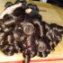 Rare New Funmi Aunty curls Magic curly Cambodian human hair virgin Unprocessed 3 bundles 