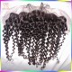 HD/Transparent lace Raw Virgin Hair Lace Fronta'sal deep wave curly 13x4 different hair types