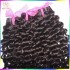 European Romance Curls Fabulous 10A Bouncy Italy Curly Virgin Unprocessed Malaysian Human Hair 2pcs/lot 