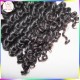 Hot selling STEAMED Virgin 10A Malaysian curly hair 3 bundles(300g) 12-28 sale KissLocks weave in STOCK