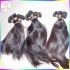  Raw Human Hair Virgin Persian Exotic New Style 3 bundles Deal Affordable Good Hairs Tangle Free