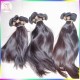 Extension Collection Wholesale 1kg=10 bundles Virgin Persian RAW Straight Hair Weaving Grade 10A Without Synthetic Fibers